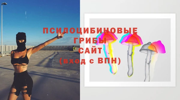 a pvp Алзамай