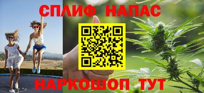 дживик Котовск