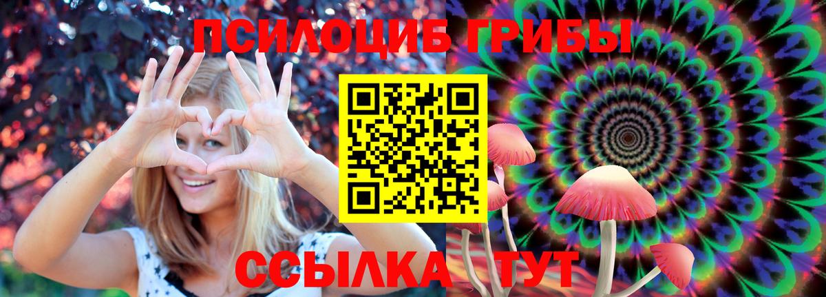 Псилоцибиновые грибы Magic Shrooms Георгиевск
